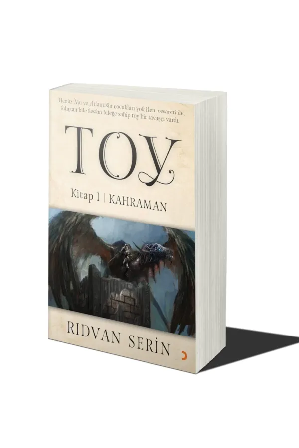 Toy