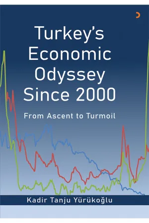 Turkey’s Economic Odyssey Since 2000