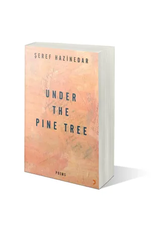 Under the Pine Tree