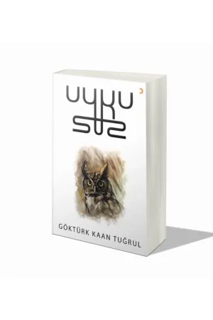 Uykusuz