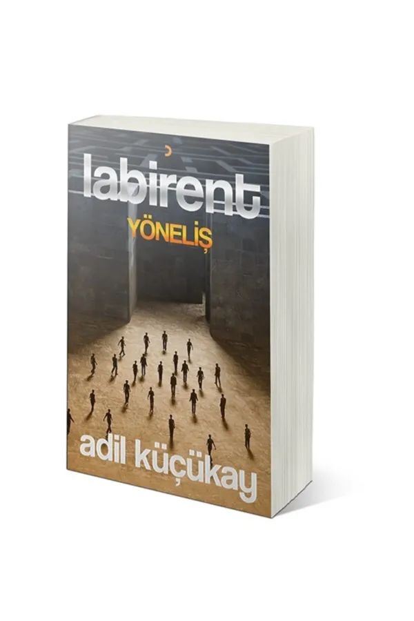 Labirent Yöneliş