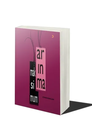 Maksimum Arınma