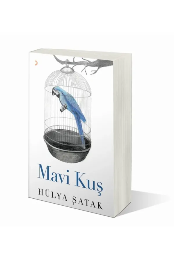 Mavi Kuş