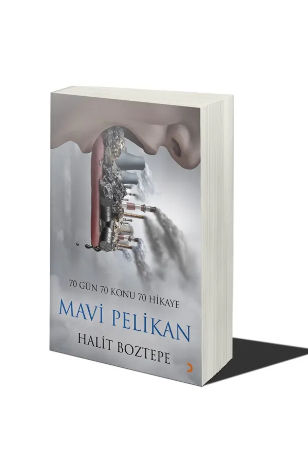 Mavi Pelikan