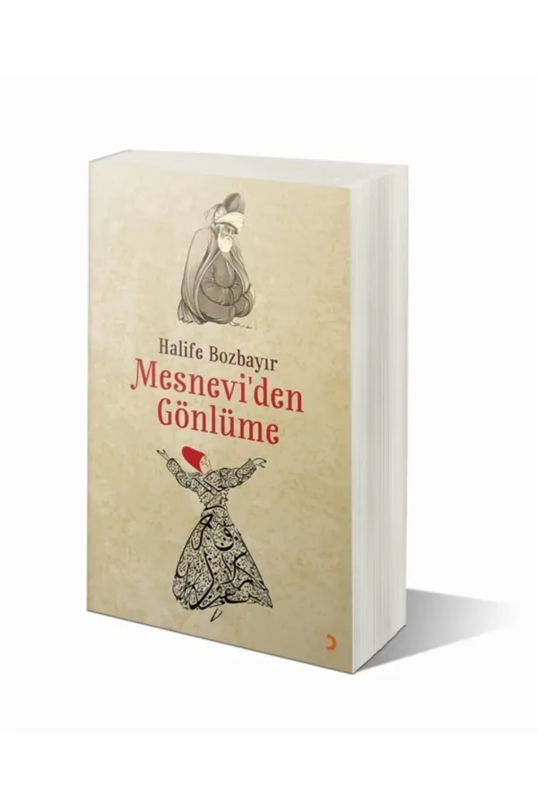 Mesnevi'den Gönlüme