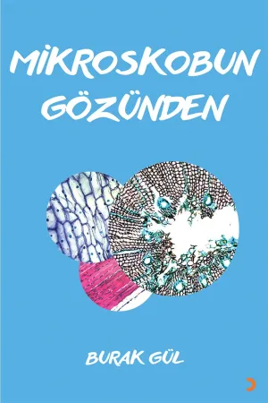 Araştırma, İnceleme & Gazetecilik