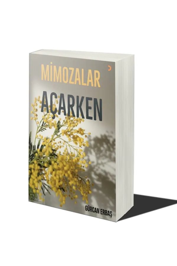 Mimozalar Açarken