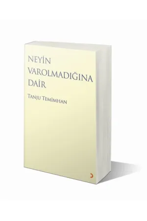 Felsefe & Düşünce