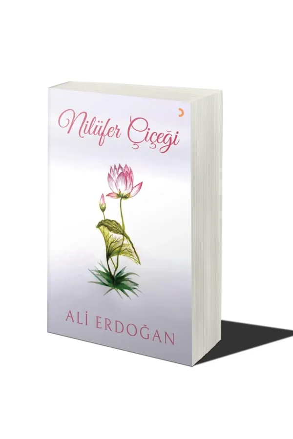 Nilüfer Çiçeği