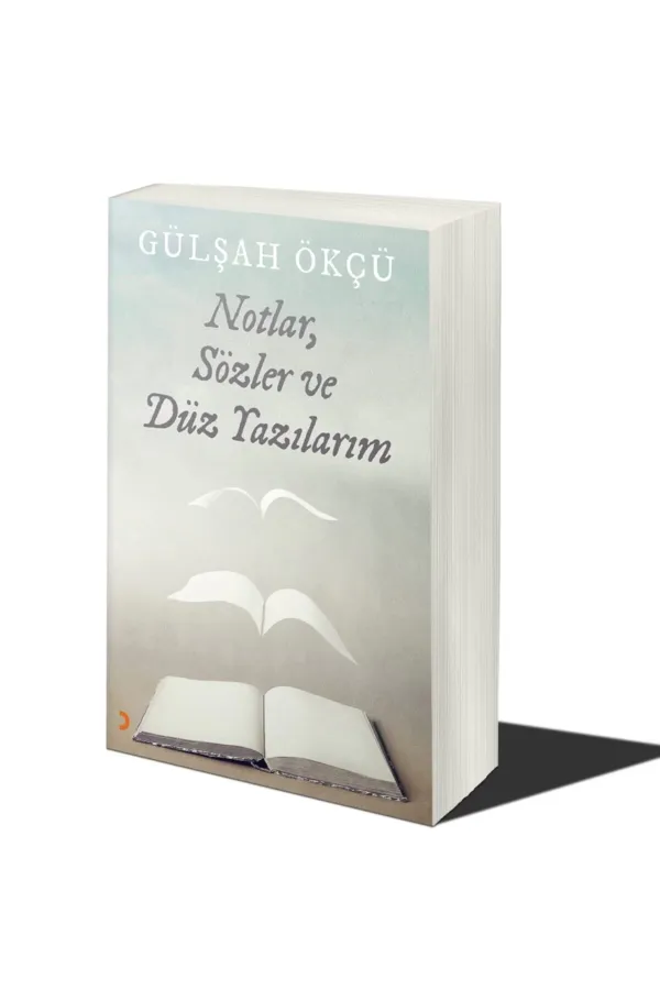 Notlar. Sözler ve Düz Yazılarım
