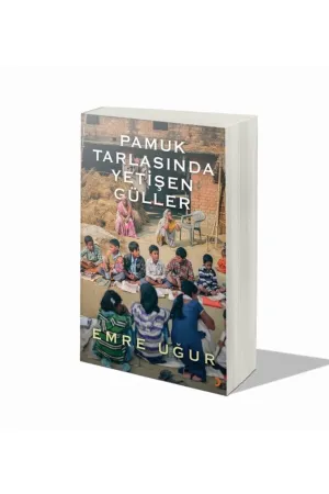 Pamuk Tarlasında Yetişen Güller