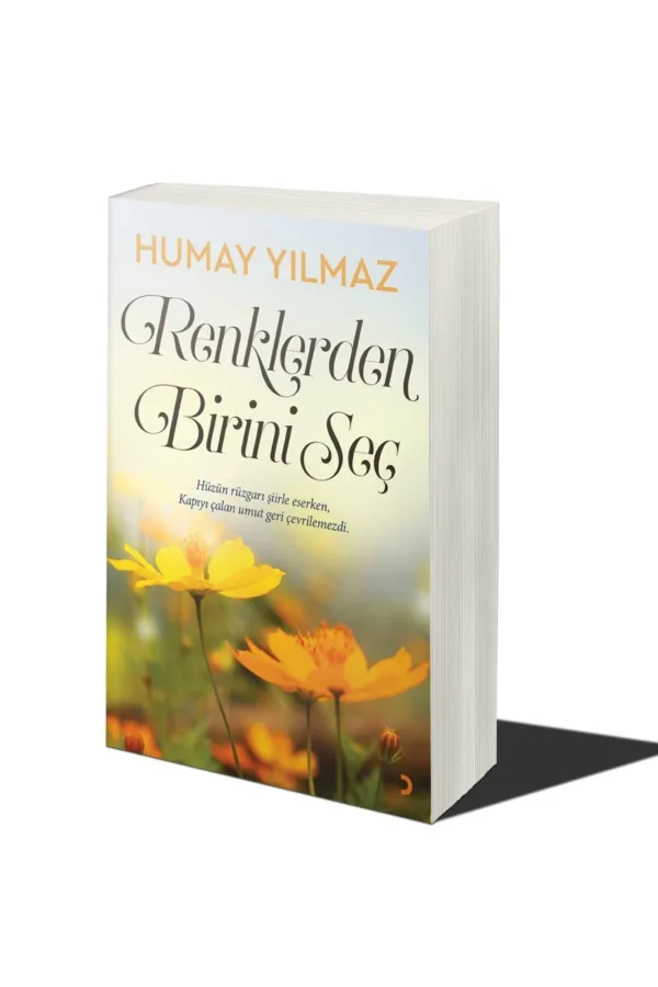 Renklerden Birini Seç