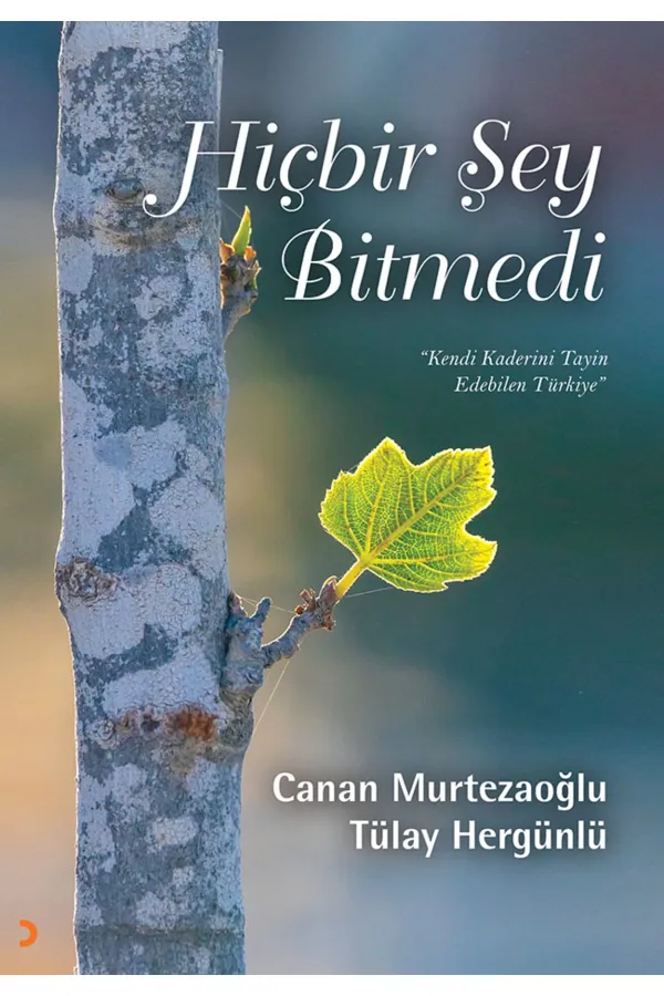 Hiçbir Şey Bitmedi