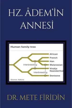 Araştırma, İnceleme & Gazetecilik