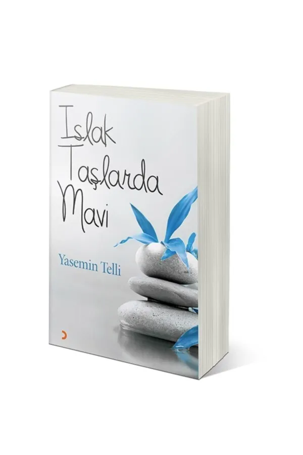 Islak Taşlarda Mavi