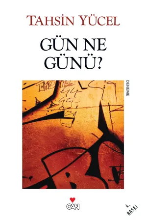 Türk Edebiyatı