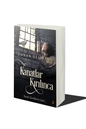 Kanatlar Kırılınca