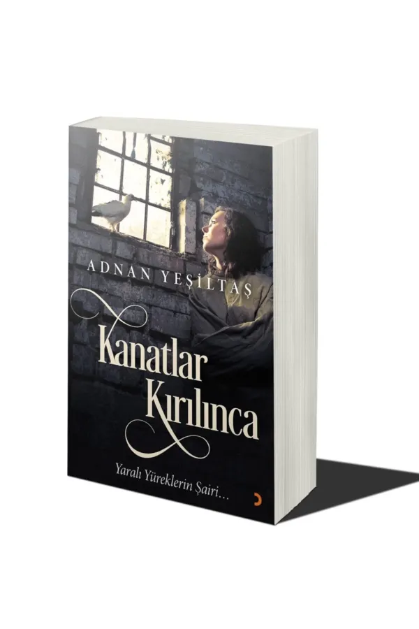 Kanatlar Kırılınca