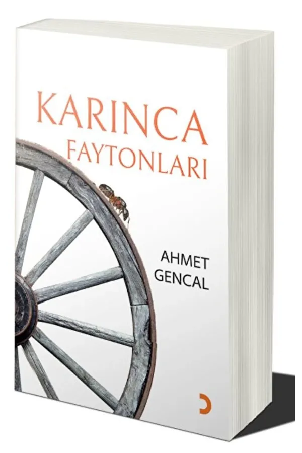 Karınca