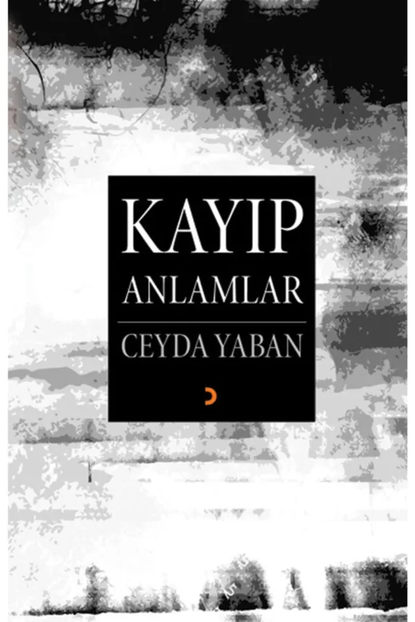 Kayıp Anlamlar