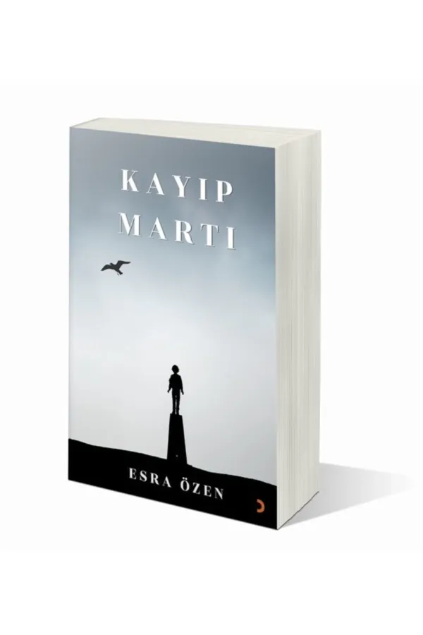 Kayıp Martı