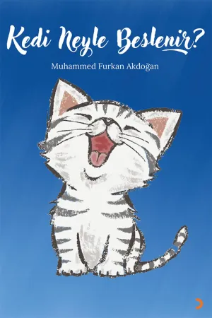 Hobi, El Sanatları & Oyunlar