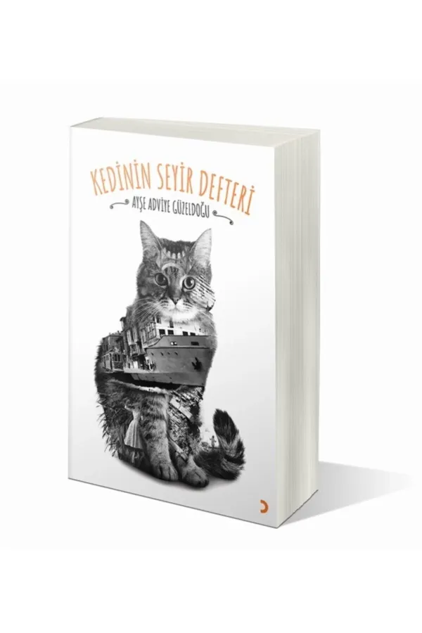 Kedinin Seyir Defteri
