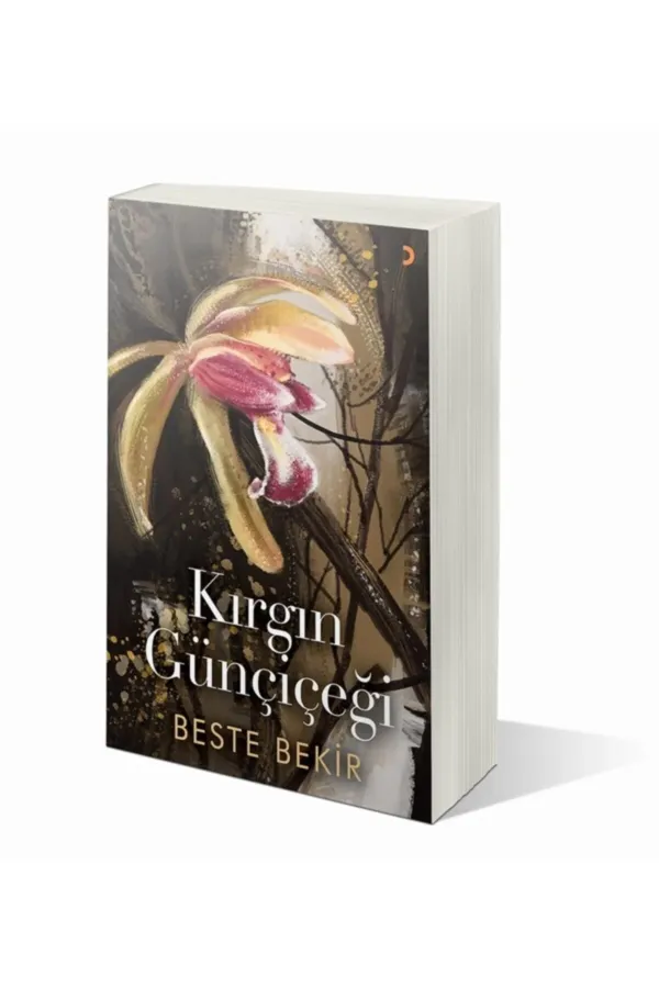 Kırgın Günçiçeği