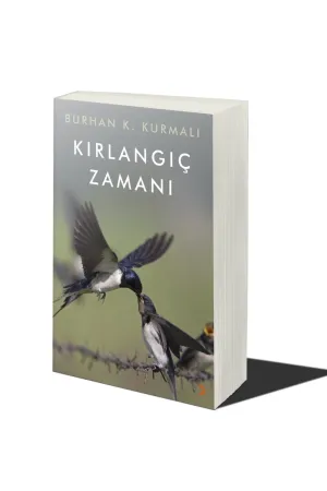 Kırlangıç Zamanı
