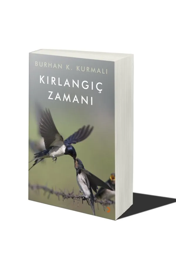 Kırlangıç Zamanı