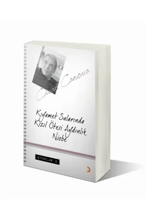 Kıyamet Sularında Kızıl Ötesi Aydınlık Niobe
