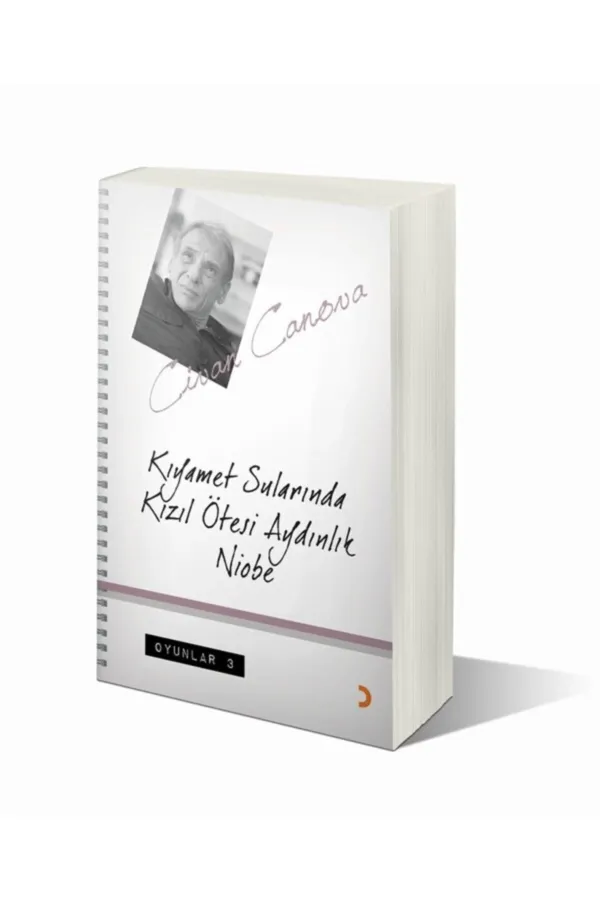 Kıyamet Sularında Kızıl Ötesi Aydınlık Niobe