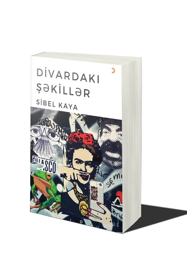 Divardakı Şəkillər