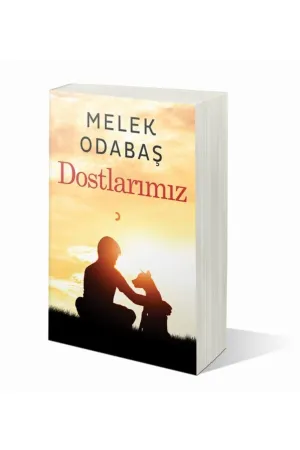 Dostlarımız