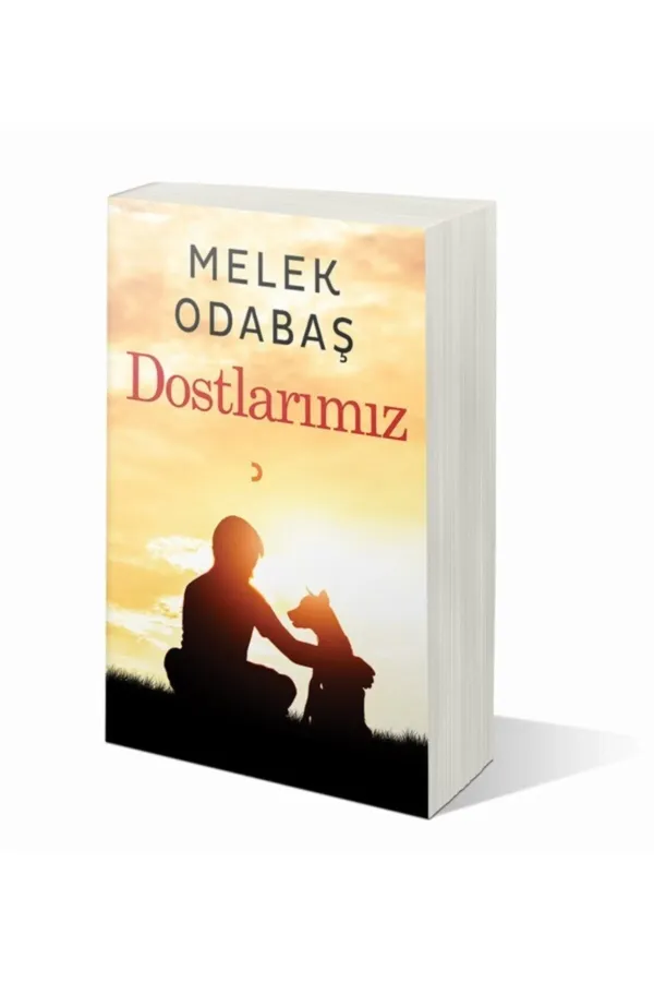 Dostlarımız