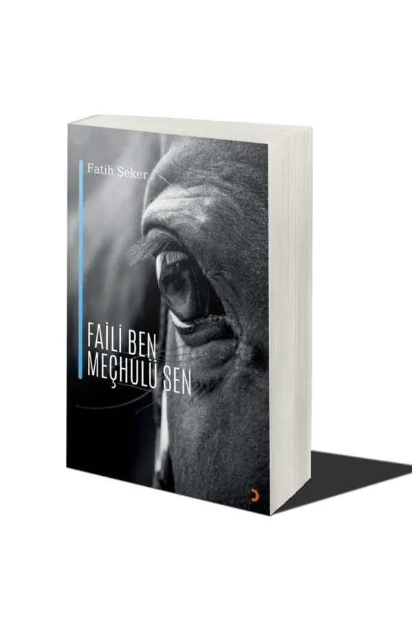 Faili Ben Meçhulü Sen