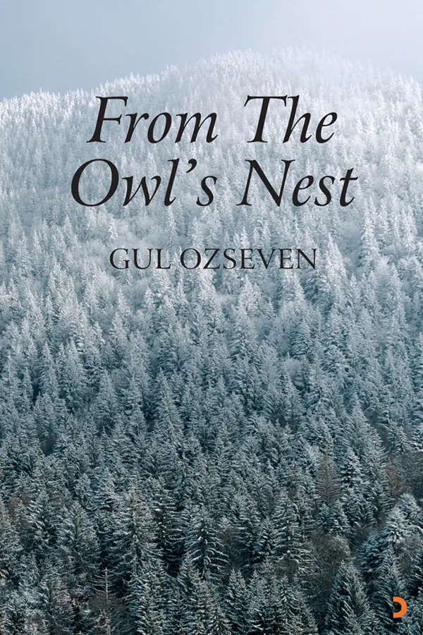 From The Owl’s Nest