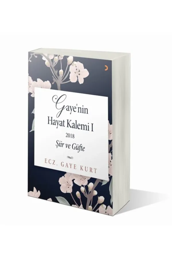 Gaye'nin Hayat Kalemi 1