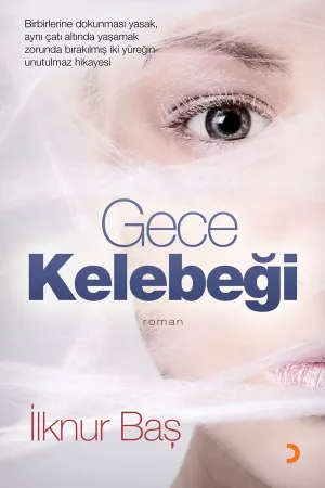 Gece Kelebeği