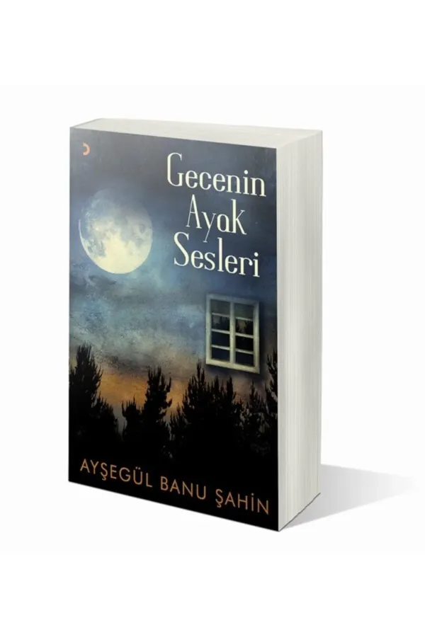 Gecenin Ayak Sesleri