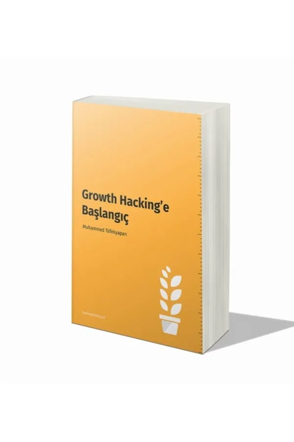 Growth Hacking'e Başlangıç