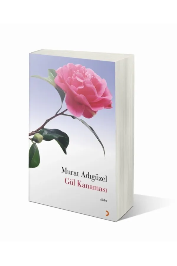 Gül Kanaması