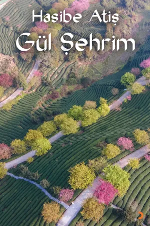Şiir