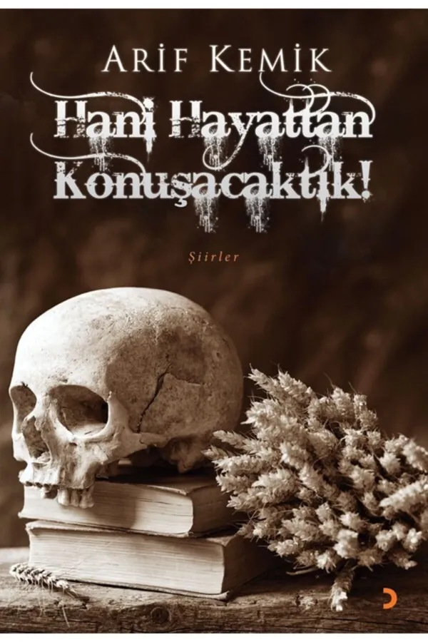 Hani Hayattan konuşacaktık