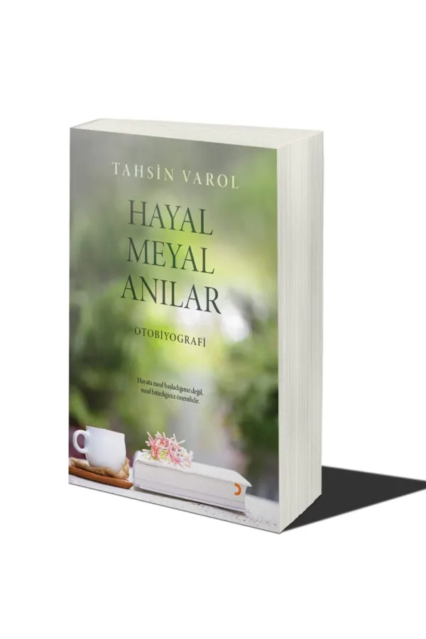 Hayal Meyal Anılar