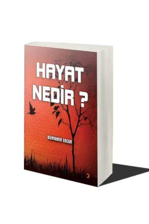 Hayat Nedir?
