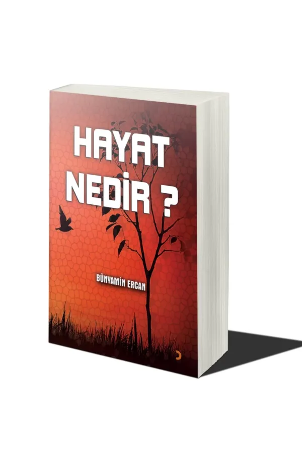 Hayat Nedir?
