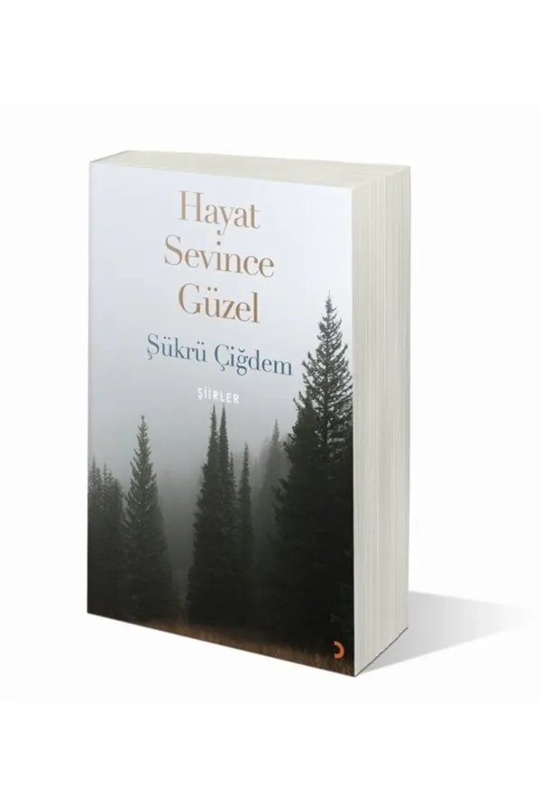 Hayat Sevince Güzel