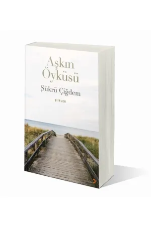 Aşkın Öyküsü