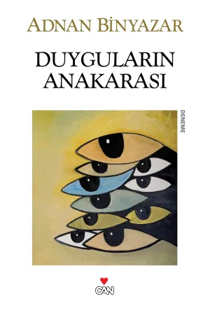 Türk Edebiyatı